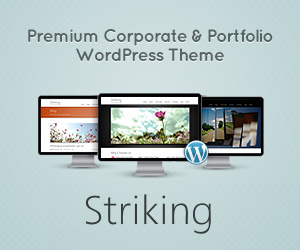 Striking Premium Corporate & Portfolio WP Theme